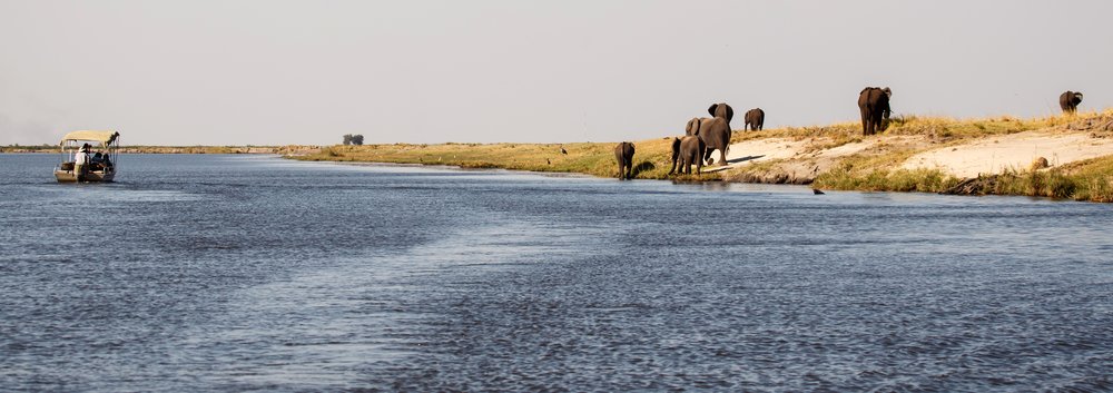 Chobe National Park